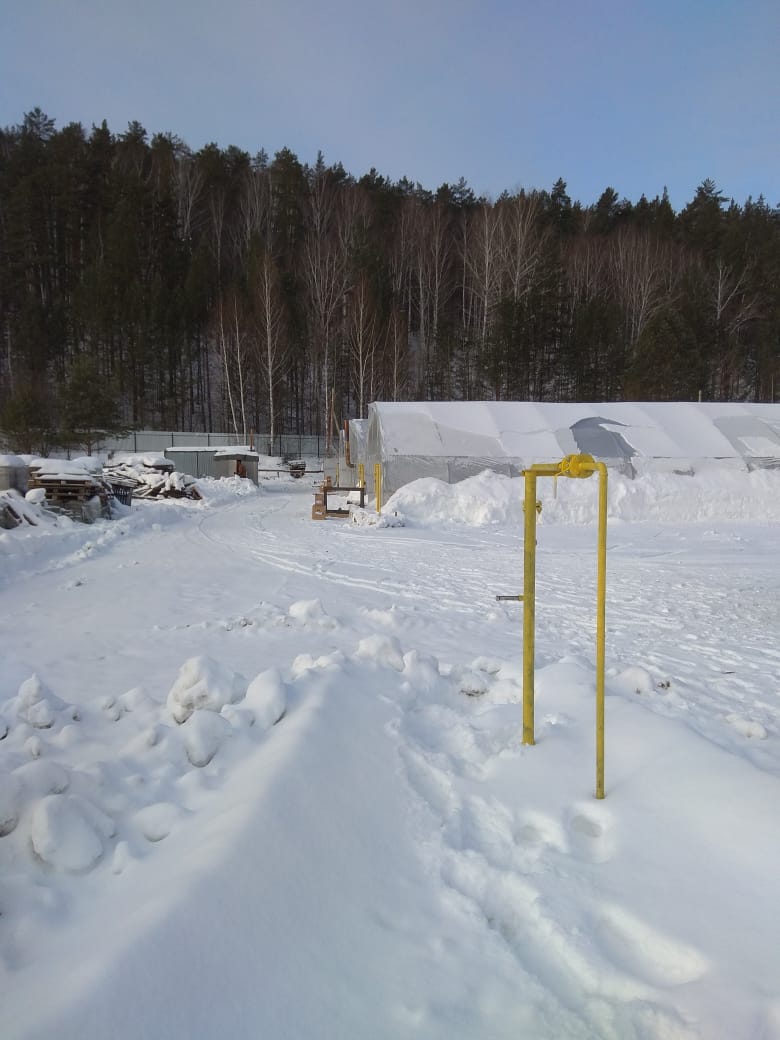 Газификация тепличного комплекса в Двуреченске
